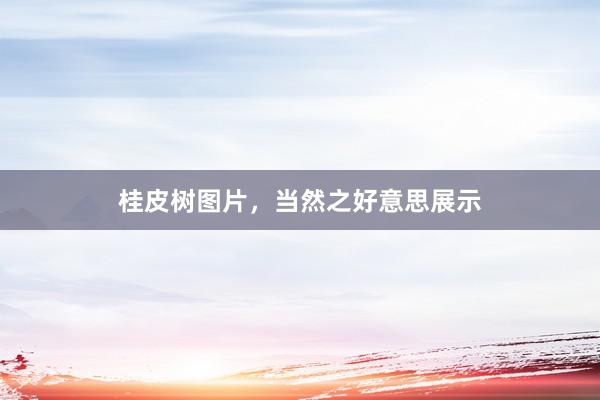 桂皮树图片，当然之好意思展示